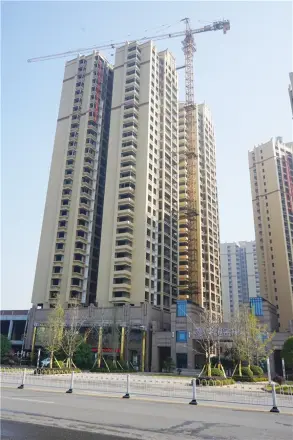 幸福金岸