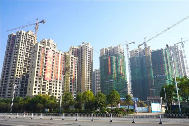 幸福金岸
