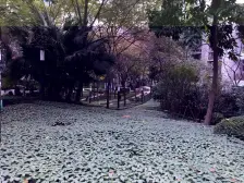 龙湖高品质小区 住家精装修 住家安静