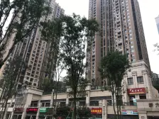 19年次新三街区 朝南 楼层好!价格有少!