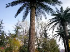 万达茂奥体旁 百郦湾小区 经典两居室