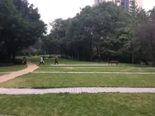 龙湖水晶郦城住家四房,视野开阔,采光好,全新精装