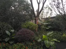 公园旁地铁口精装带空调,诚心出售