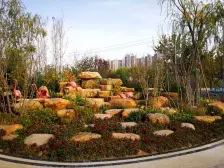 万达茂 奥体 地铁口 黄河边风情 南北通透