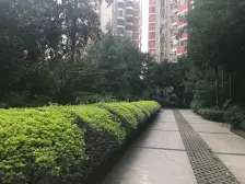 江山多娇 5室2厅 东南