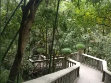 民安大道旁洋房,带前后花园,公园就在小区里,环境好