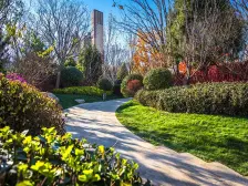 此房户型好, 海河视野好 此户型唯一看海河