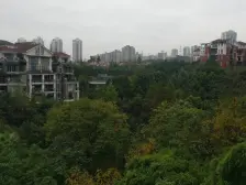 龙头寺 中央美地三房157万