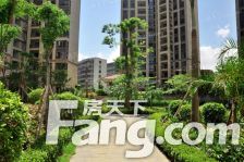 桃源新都孔雀城 3室2厅 南 北