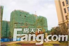 白鹭金岸临沂院子好位置带3车位