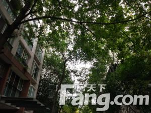 花样年花郡 3室2厅 南 北