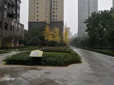 华岩新城 宫和西香郡二房53.5万