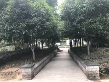 联芳桥 大城小爱二房70万