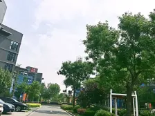 调高五米四 看房随时 户型方正