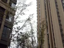 照母山 香港置地约克郡上景四房206万