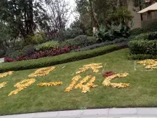 照母山 香港置地约克郡上景二房110万