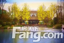 房主诚心出售精装修交付好楼层看房提前预约