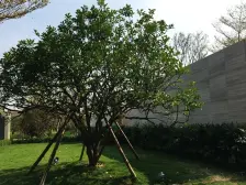 业主诚心卖,看房方便,位置好,视野好