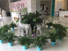 业主诚心出售,双轻轨,交通便利