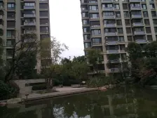 人车分流随时看房 现场实勘 必看好房