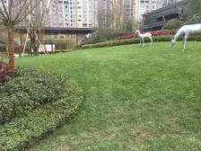 天誉二期全中庭 电梯入户 四房两卫