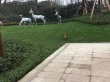 西区大地坡大4房带车位和电梯入户拎包入住