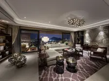 华侨城天鹅湖D排双拼别墅,入证大,金融属性强