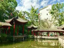 杜鹃城千万间 3室2厅 东南