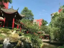 杜鹃城 3室2厅 东南