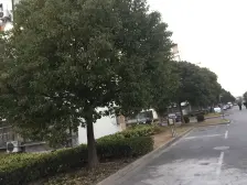 房东诚意卖,带电梯,产权人在上海