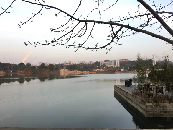 藏珑湖上国际花园