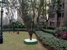 照母山 融创凡尔赛花园一期别墅五房1789万