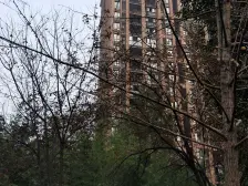 滨路龙湖旁+三房带书房+精装+板式结构+临公园