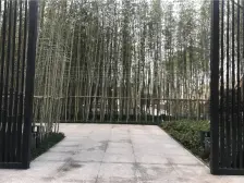 中央公园 金辉中央铭著A区一房12.8万