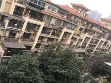 金科品质花园洋房,户型方正,出行便利,环境舒适