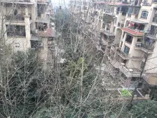 洋房带花园,双轻轨一站式配套