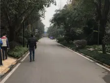 金科中建集美阳光 3室2厅 东南