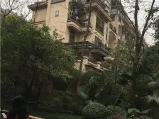 跳磴 金科中建集美阳光二期三房