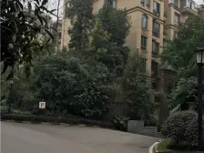 双轻轨+业主急售+户型方正+采光好