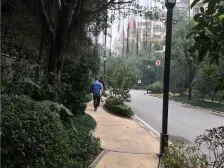 双轻轨四房洋房+端户中间楼层+环境舒适采光好