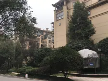 双轻轨+业主诚心出售+采光视野好+洋房同小区