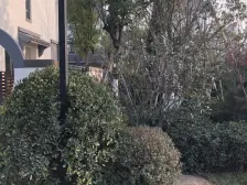 鲁商运河公馆好楼层视野好小三室带车位储藏室