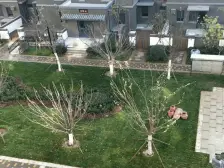 鲁商运河公馆 3室2厅 南