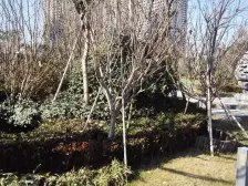 洋房急售精装修楼层好采光充足交通便利带车位产权清晰