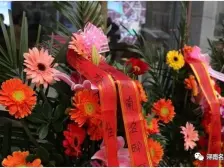 房子房东诚心出售,采光好,楼层好。