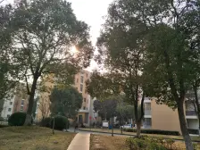 云帆佳苑 2室2厅 南