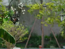 少见的精装别墅,可以做到拎包入住。省心省力。