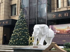 融创金水府,次新小区,刚交房一年,新风+中阳空调