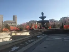 绿地康养谷 2室1厅 南 北