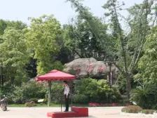 经开区!南昌院子旁龙隐山联排别墅带花园!业主诚售